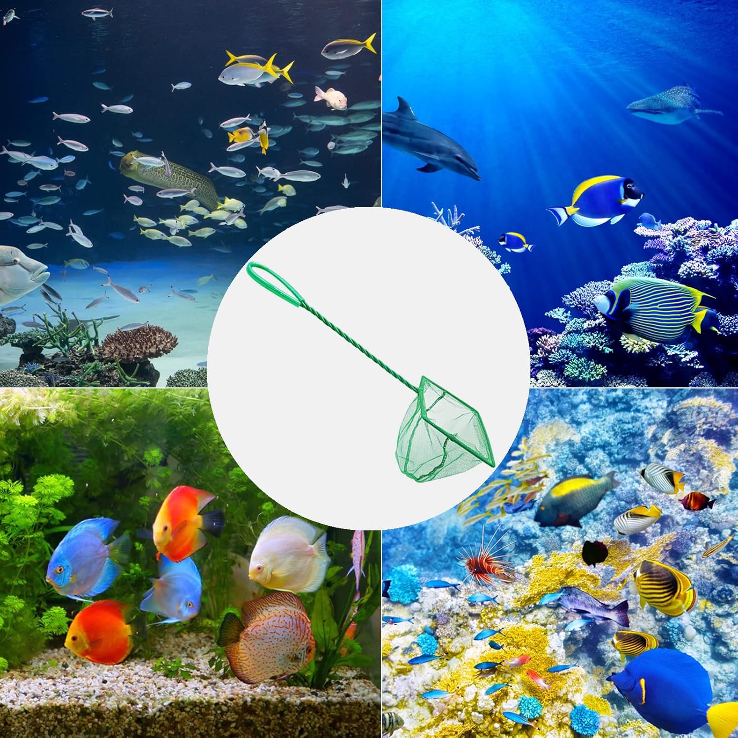 5 Pack Aquarium Fish Net, Multi-Size Fine Quick Fish Catch Nets Nylon Fishing Mesh Nets with Long Plastic Handle for Fish Tank - Green (3in, 4in, 5in, 6in, 6in) - Image 4