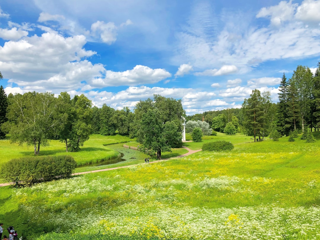 From Concrete Jungle to Nature’s Playground: Reclaiming the Outdoors From Concrete Jungle to Nature’s Playground: Reclaiming the Outdoors