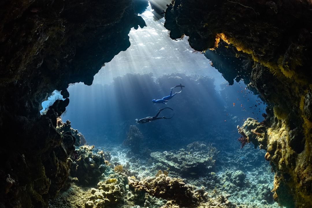 Exploring the Great Outdoors: Where Adventure Meets the Unconventional Exploring the Great Outdoors: Where Adventure Meets the Unconventional